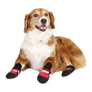 Botas para Mascotas - Protege a tu Mejor Amigo, Sin Importar la Estación del Año!