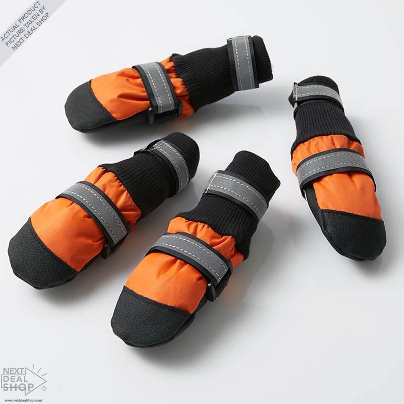 Botas para Mascotas - Protege a tu Mejor Amigo, Sin Importar la Estación del Año!
